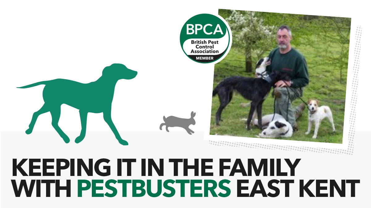 pestbusters hero pestbusters hero